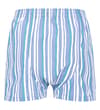 Thumbnail Blue, teal and white striped boxer shorts, back view.